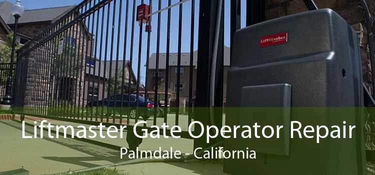 Liftmaster Gate Operator Repair Palmdale - California